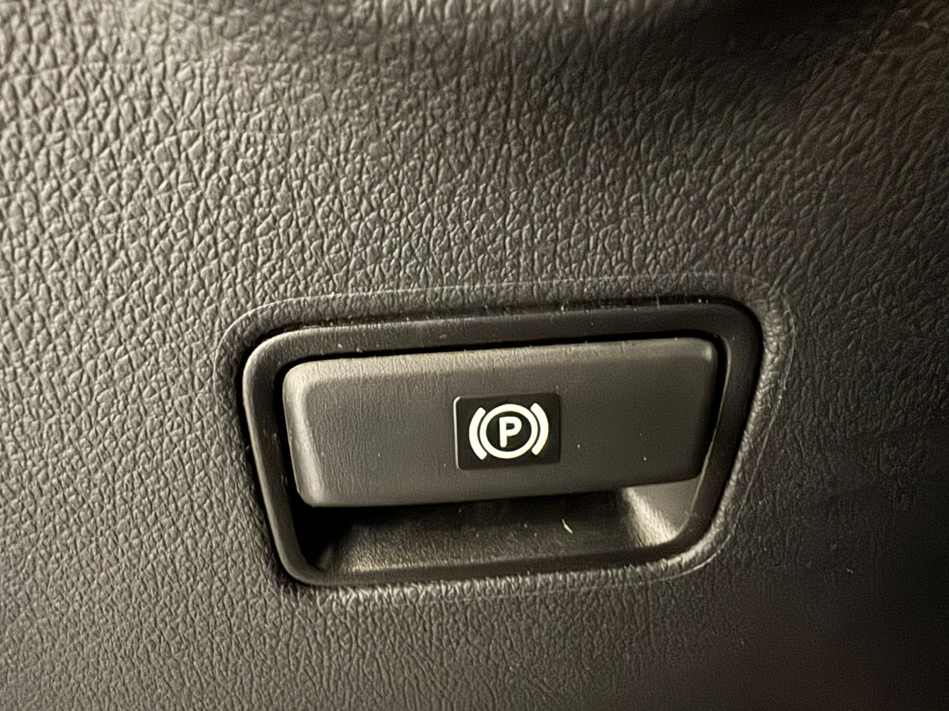 41408991-27.jpg