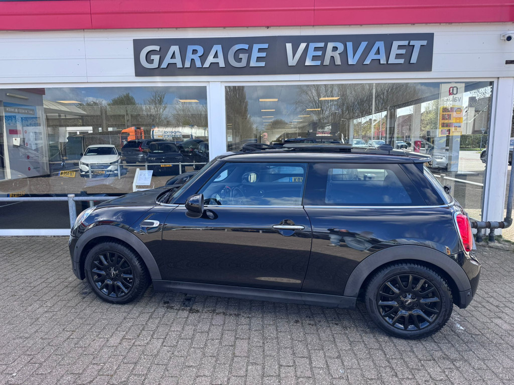 52451694